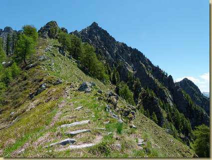 sentierino sulla cresta...