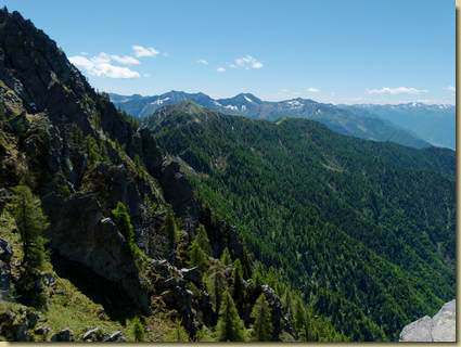 il boscoso versante del Rio Fenecchio