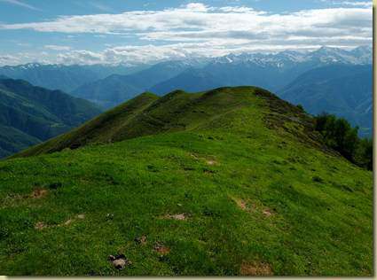 verso il Monte Alom...