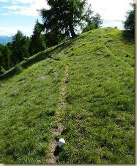 vescia sul sentiero...