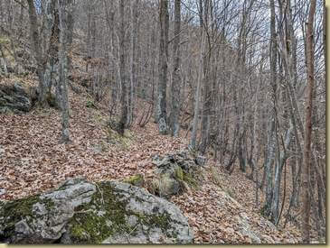 la zona con i piccoli terrazzamenti...