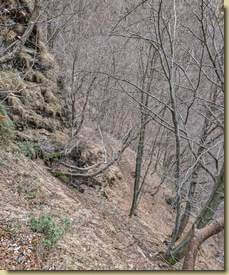 breve aggiramento sul versante nord seguendo tracce di animali...