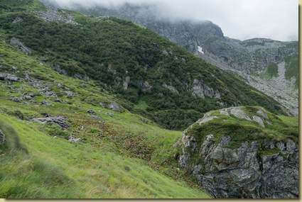 i prati dell'Alpe Curtit...
