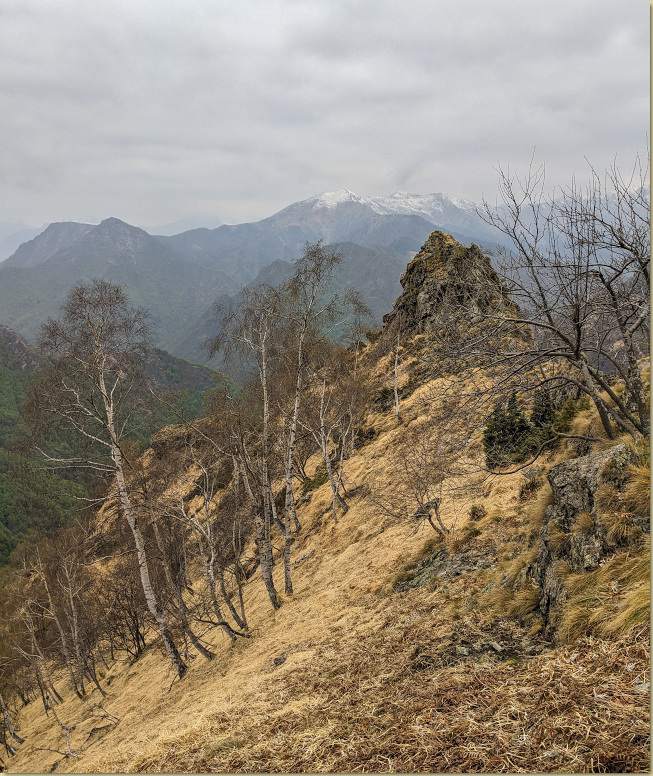 salendo al Sasso Alto...