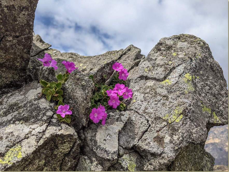 sulla cresta del Sasso Negro...