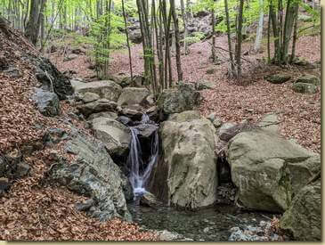 al torrente dove traversa il sentiero 581, che però abbandoniamo per salire il versante sulla destra idrografica...