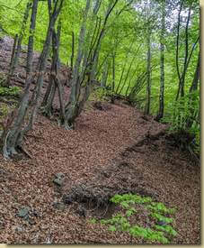 a tratti si trovano tracce del vecchio sentiero...
