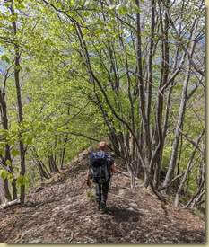 un tratto in discesa lungo una dorsalina intermedia...