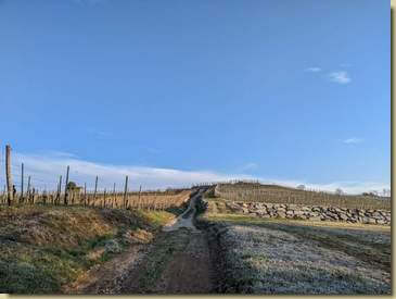 i vigneti...