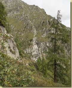 traverso tra la fitta vegetazione...