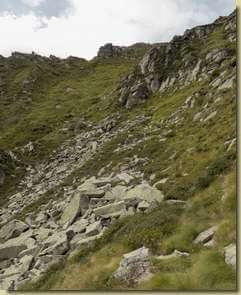 sul versante che sale a Turiggia...