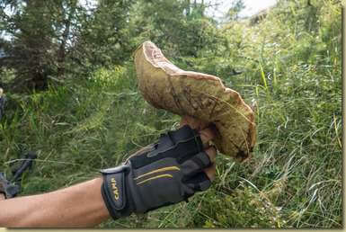 bisognava trovarlo qualche giorno prima...