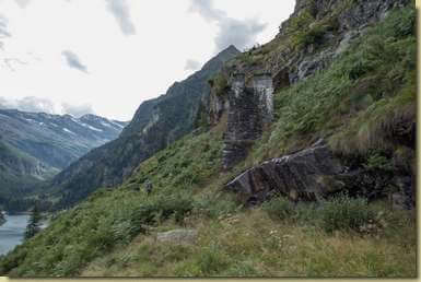 ultimo tratto scomodo tra le felci...