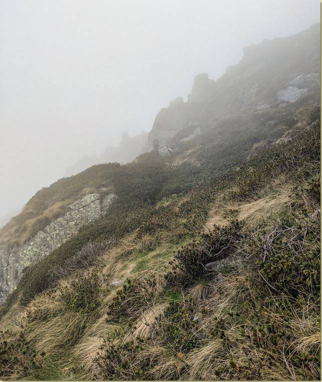 salendo al Barone nella nebbia......