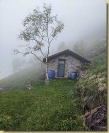 Alpe Farina nella nebbia...