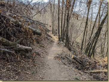 grazie a chi ha sistemato il sentiero...