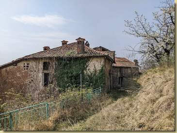 a Mollia d'Arrigo...