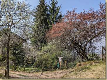 ritorno a Bertasacco....