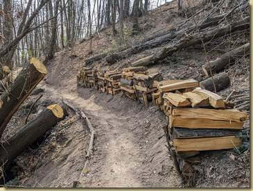 legna lungo il sentiero...