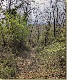 discesa lungo il sentiero 772...