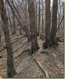 deviazione seguendo i segni di vernice...