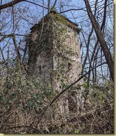 torretta assediata dai rovi...