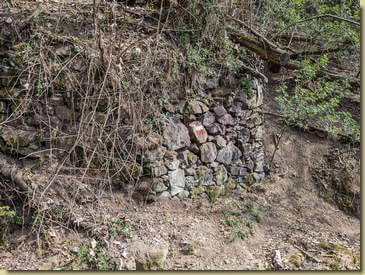forse resti del Castello di San Genesio...
