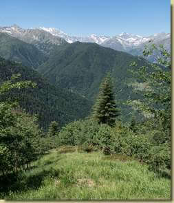 uno dei pochi tratti sui prati...