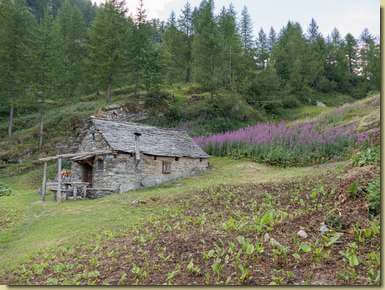 Alpe Lorino...