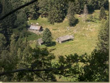 vista verso l'Alpe Wolf...