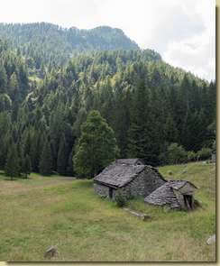 Alpe Wolf...