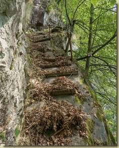 scalini di legno...