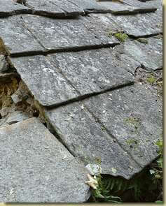 particolare delle lose del tetto...