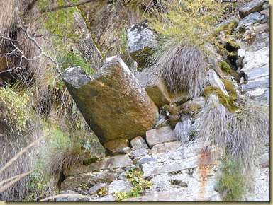 lo scolo della grondaia...