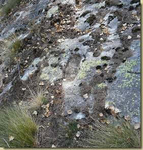 tacca nella roccia...