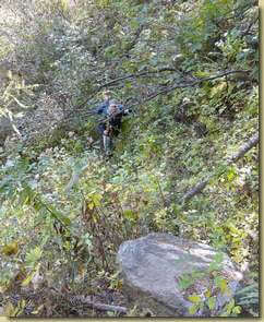 alla ricerca del sentiero...