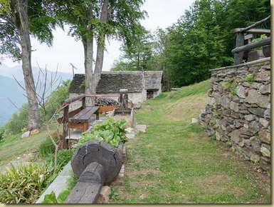 all'Alpe Olmeini...