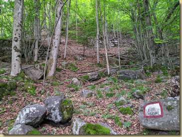 alle Cascine...