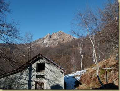 a Verminasca...