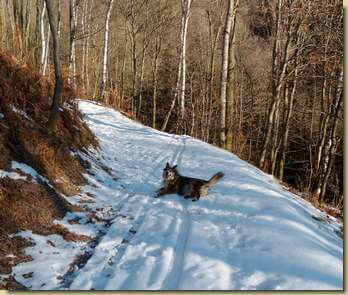 Aria sulla neve...
