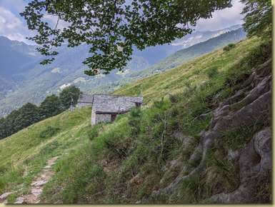 ritornando a Cortina...