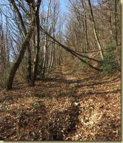 sulla stradina per Nocco...