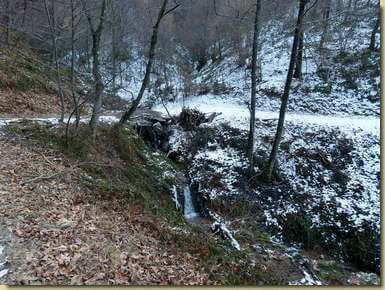 sulla stradina per Coiromonte...