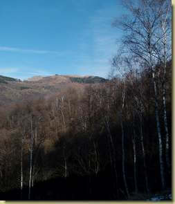 sullo sfondo il Mottarone...