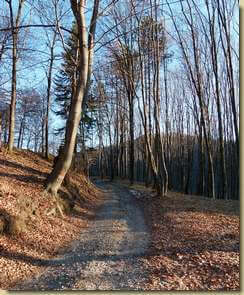 entrando nella Valle dell'Ondella...