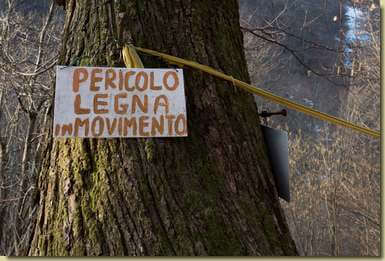 legna pericolosa...