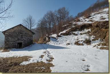 all'Alpe Scanfurno...