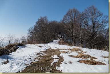 sulla dorsale tra la Cima del Camossaro e il Monte Ostano...