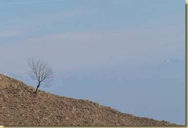 solitario...