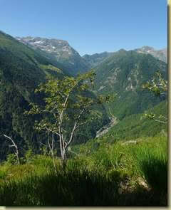 vista verso la Val Sorba